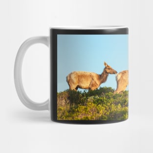 2 Elks 2 Mug